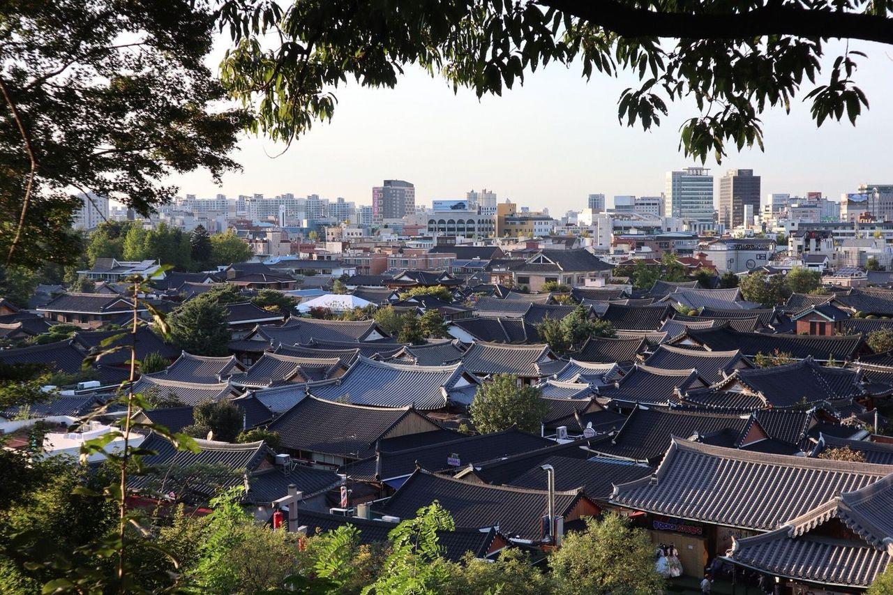 从高处拍摄的全州韩屋村全景，展示了大都市中的一片传统房屋林立区域，给予参观者历史与现代交汇的视觉享受。